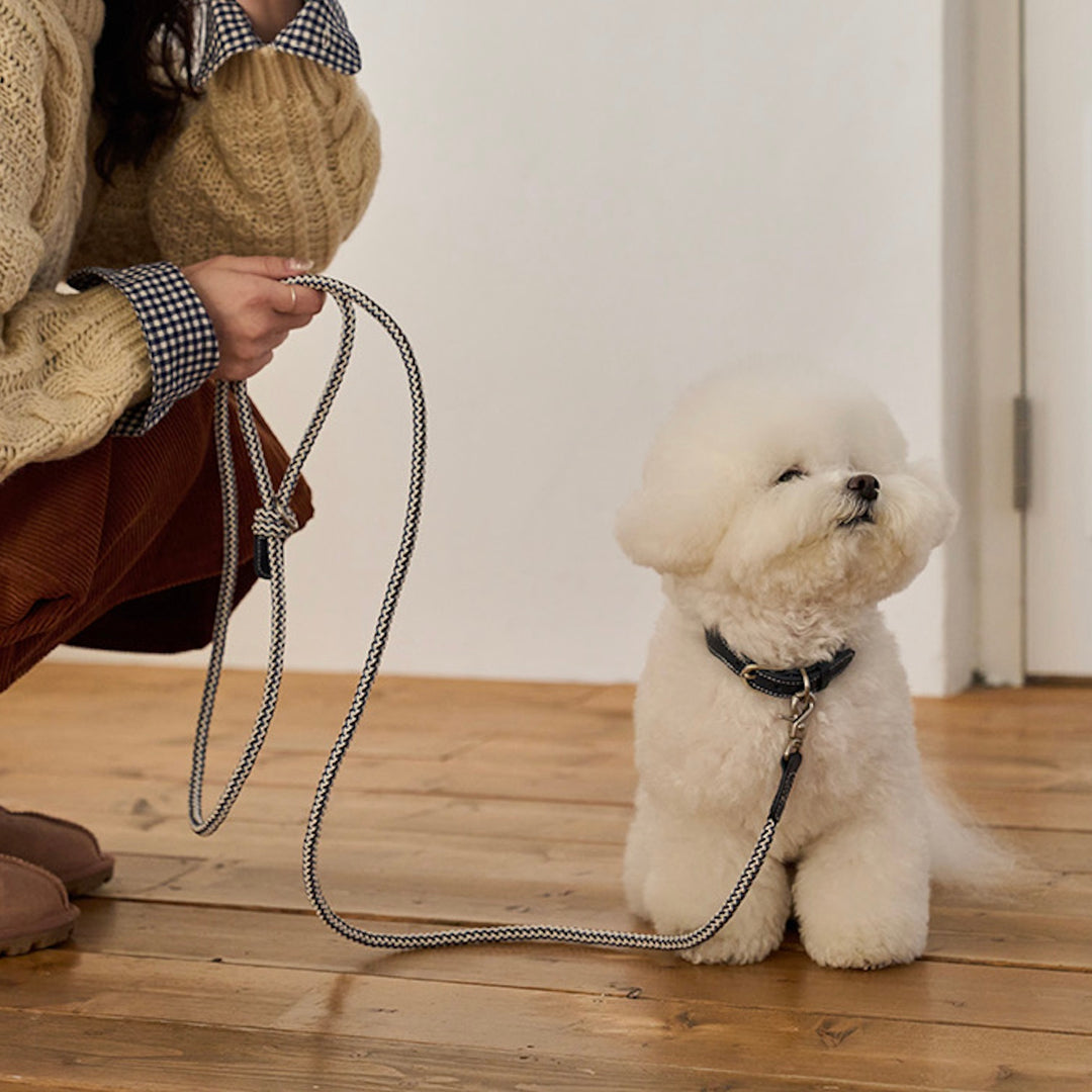 ※予約販売【noutti】Noutti × Stroll Rope Collar（Navy）