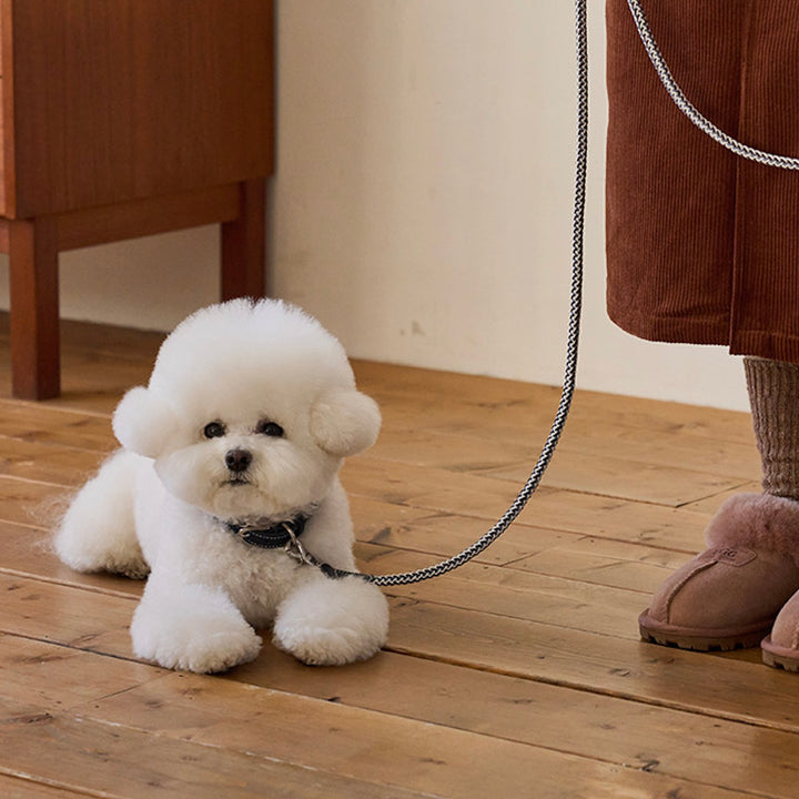 ※予約販売【noutti】Noutti × Stroll Rope Collar（Navy）