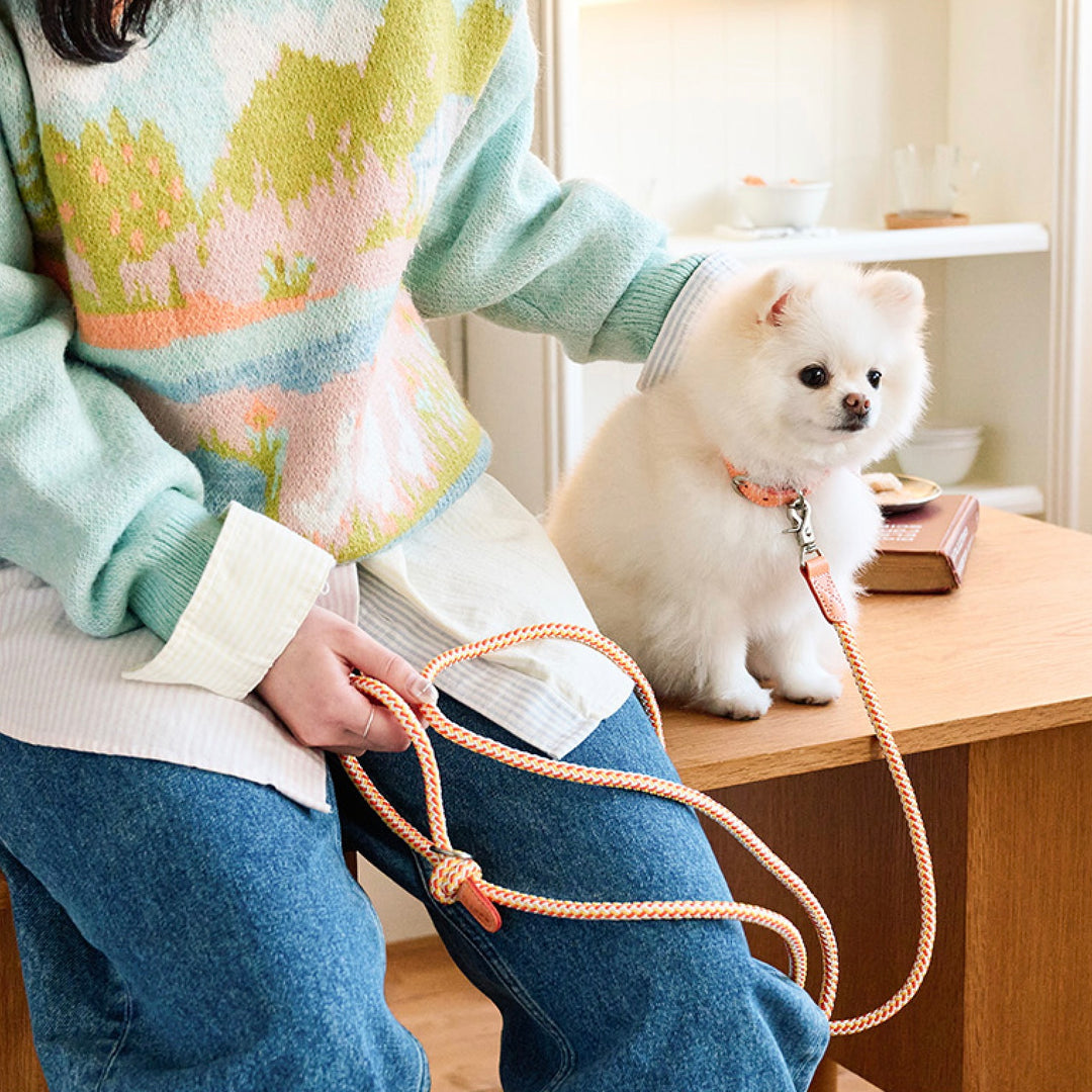 ※予約販売【noutti】Noutti × Stroll Rope Collar（Orage）