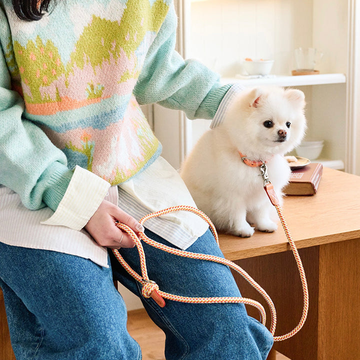 ※予約販売【noutti】Noutti × Stroll Rope Collar（Orage）