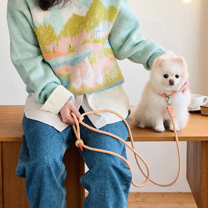 ※予約販売【noutti】Noutti × Stroll Rope Collar（Orage）