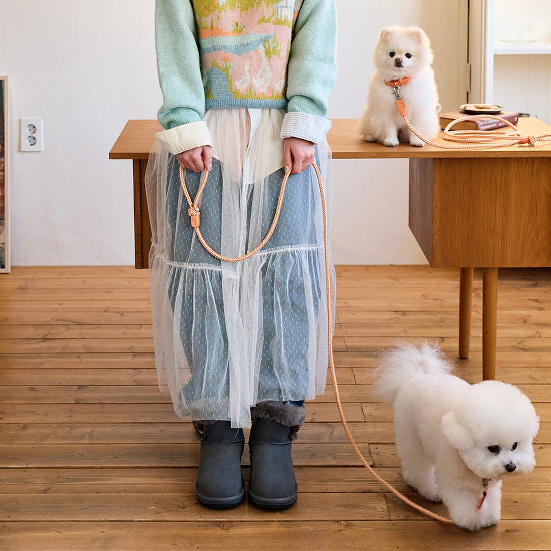 ※予約販売【noutti】Noutti × Stroll Rope Collar（Orage）