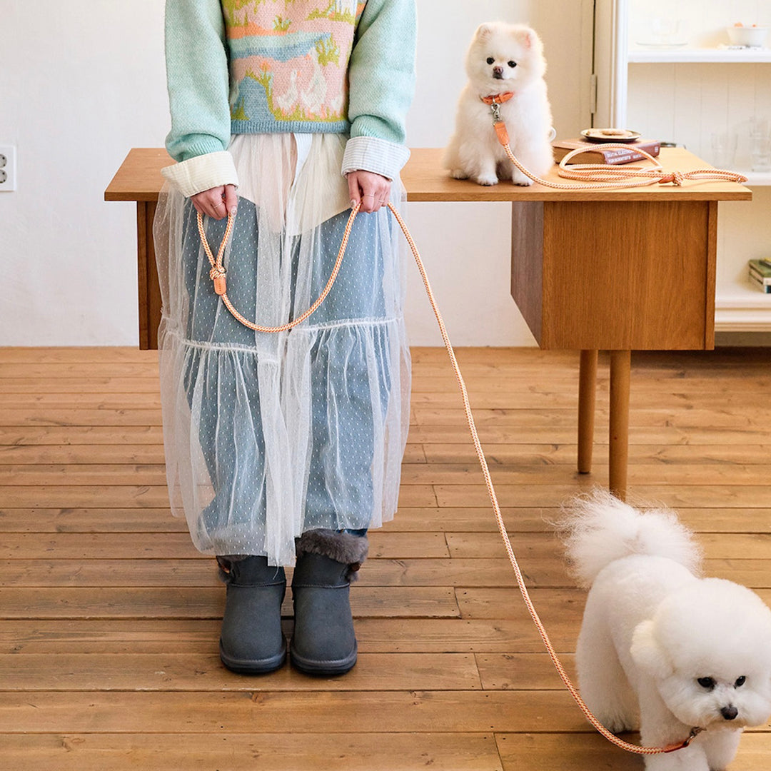 ※予約販売【noutti】Noutti × Stroll Rope Collar（Orage）