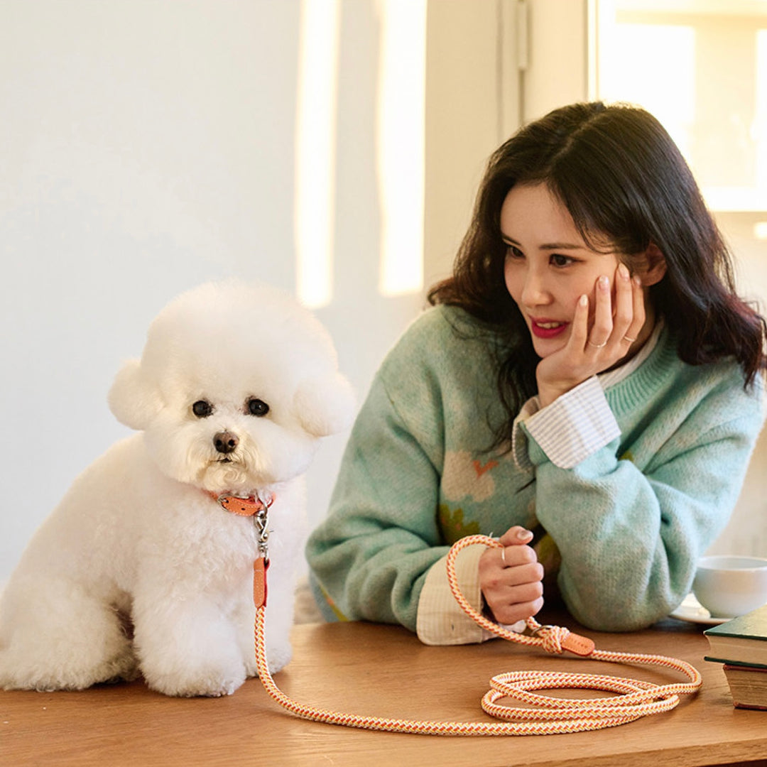※予約販売【noutti】Noutti × Stroll Rope Collar（Orage）