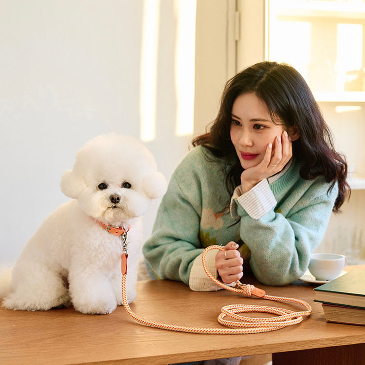 ※予約販売【noutti】Noutti × Stroll Rope Collar（Orage）