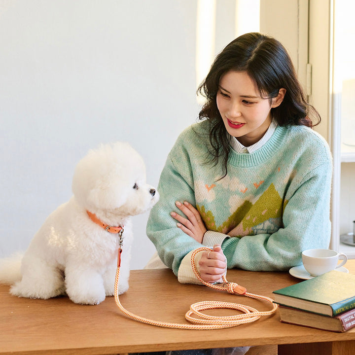 ※予約販売【noutti】Noutti × Stroll Rope Collar（Orage）