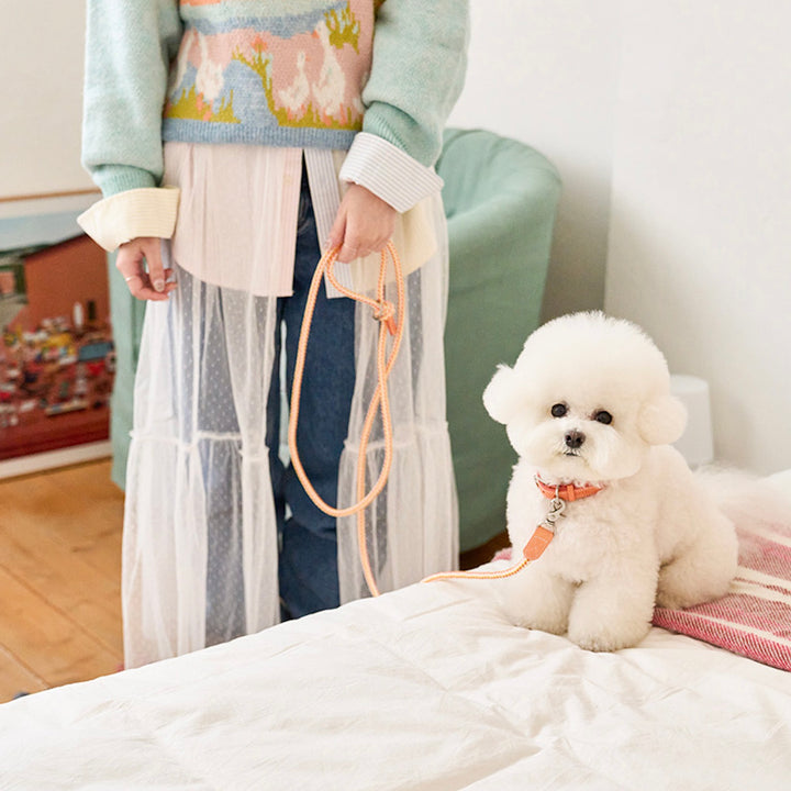 ※予約販売【noutti】Noutti × Stroll Rope Collar（Orage）
