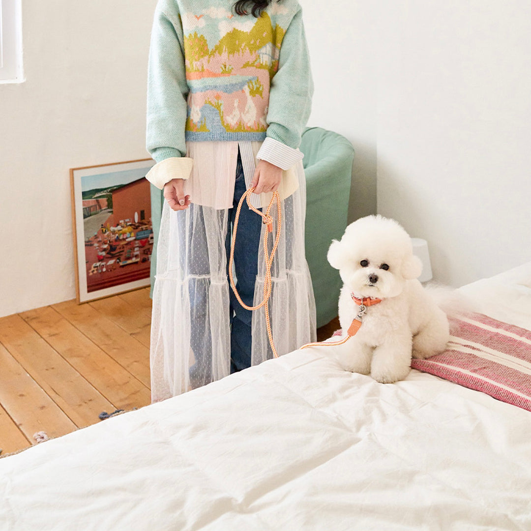 ※予約販売【noutti】Noutti × Stroll Rope Collar（Orage）