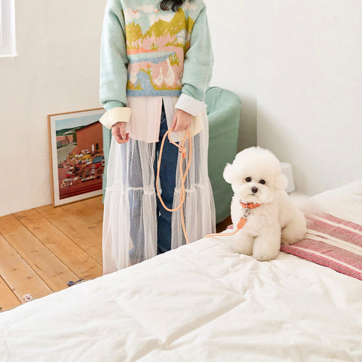 ※予約販売【noutti】Noutti × Stroll Rope Collar（Orage）