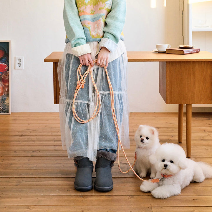 ※予約販売【noutti】Noutti × Stroll Rope Collar（Orage）