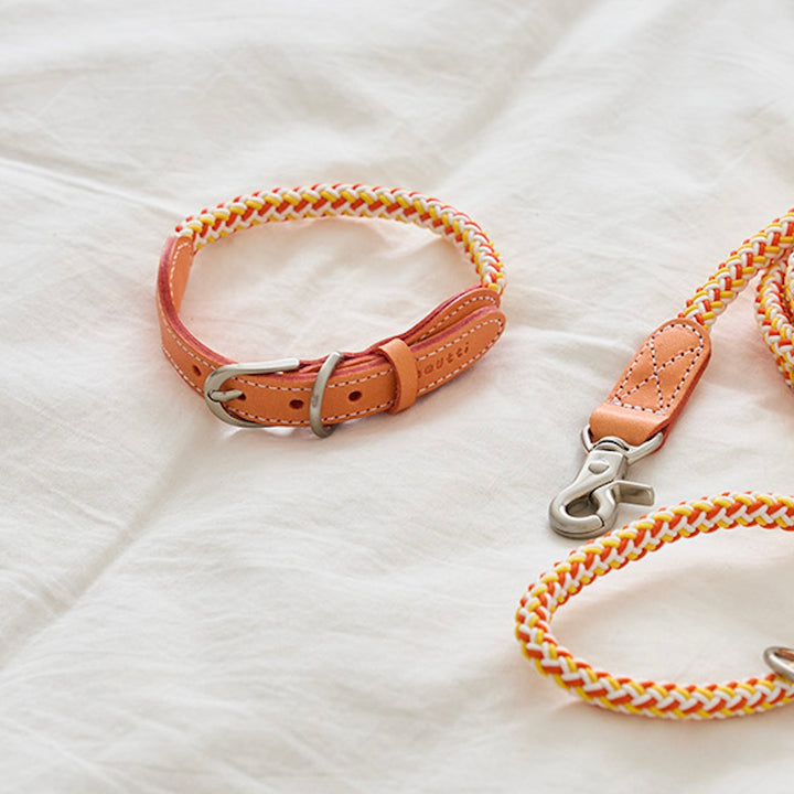 ※予約販売【noutti】Noutti × Stroll Rope Collar（Orage）