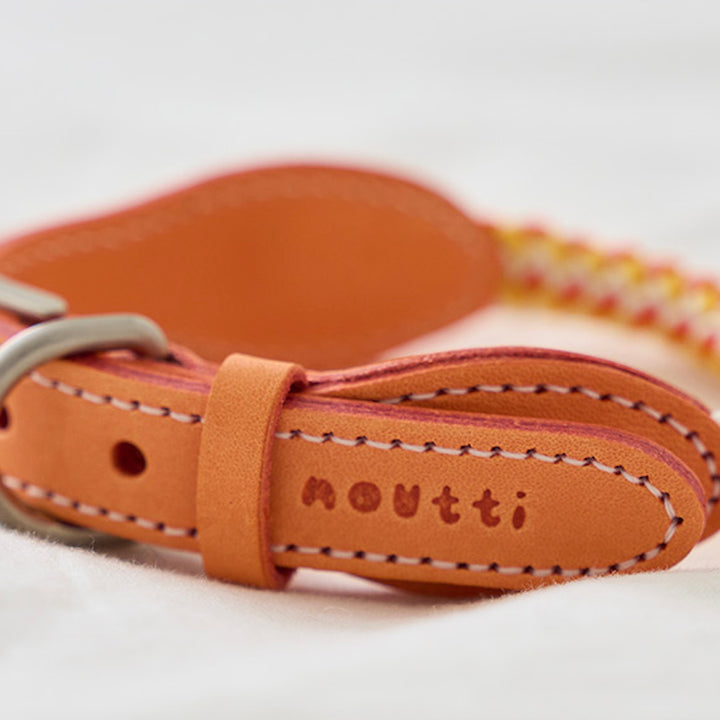 ※予約販売【noutti】Noutti × Stroll Rope Collar（Orage）