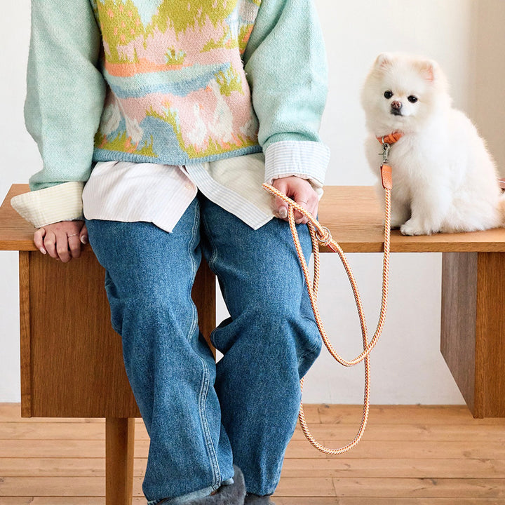 ※予約販売【noutti】Noutti × Stroll Rope Leash（Orage）