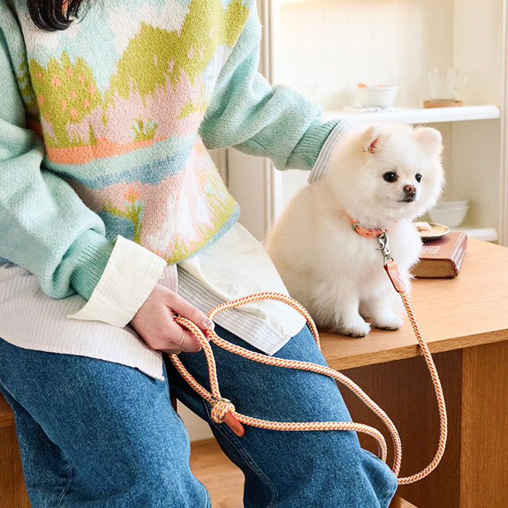 ※予約販売【noutti】Noutti × Stroll Rope Leash（Orage）