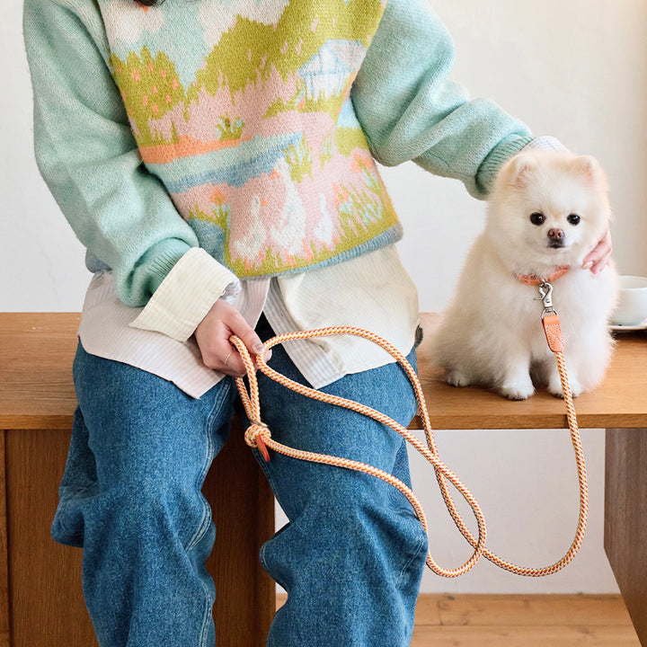 ※予約販売【noutti】Noutti × Stroll Rope Leash（Orage）
