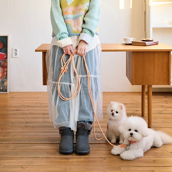 ※予約販売【noutti】Noutti × Stroll Rope Leash（Orage）