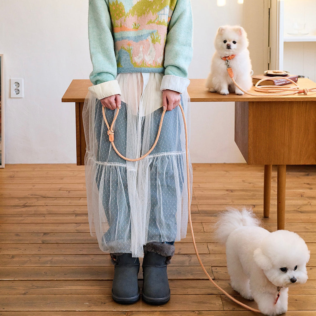 ※予約販売【noutti】Noutti × Stroll Rope Leash（Orage）