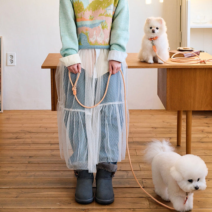 ※予約販売【noutti】Noutti × Stroll Rope Leash（Orage）