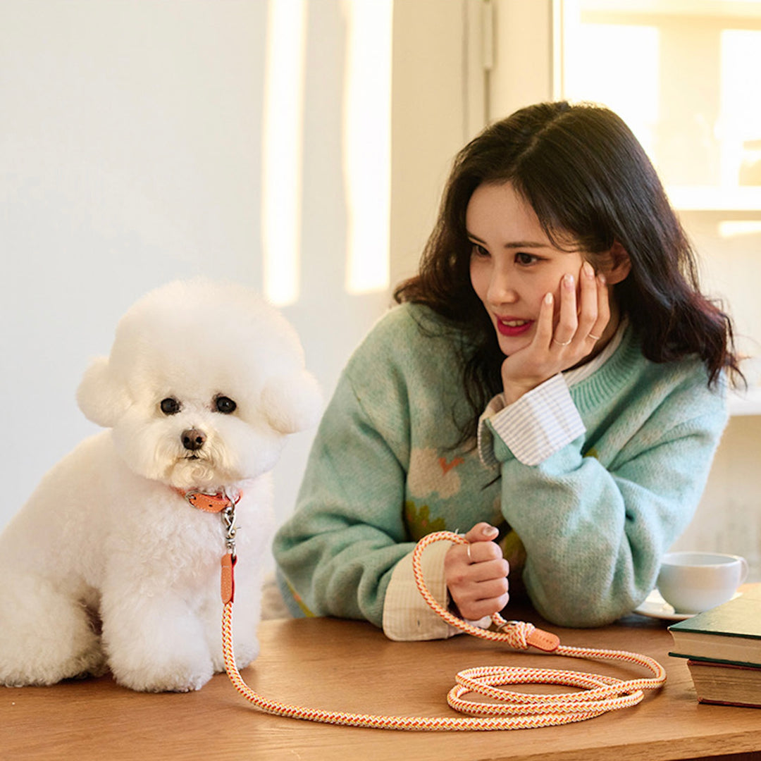 ※予約販売【noutti】Noutti × Stroll Rope Leash（Orage）