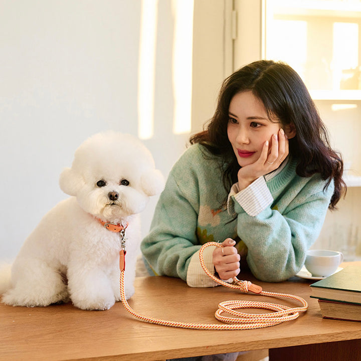 ※予約販売【noutti】Noutti × Stroll Rope Leash（Orage）