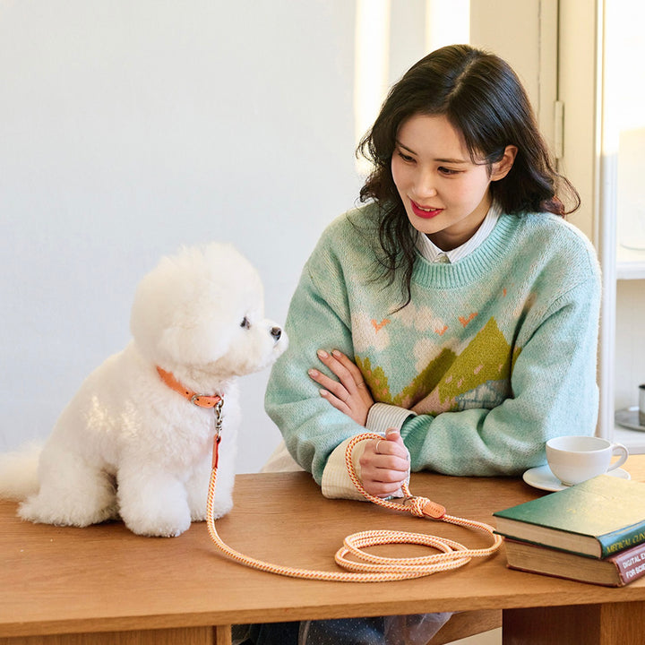 ※予約販売【noutti】Noutti × Stroll Rope Leash（Orage）