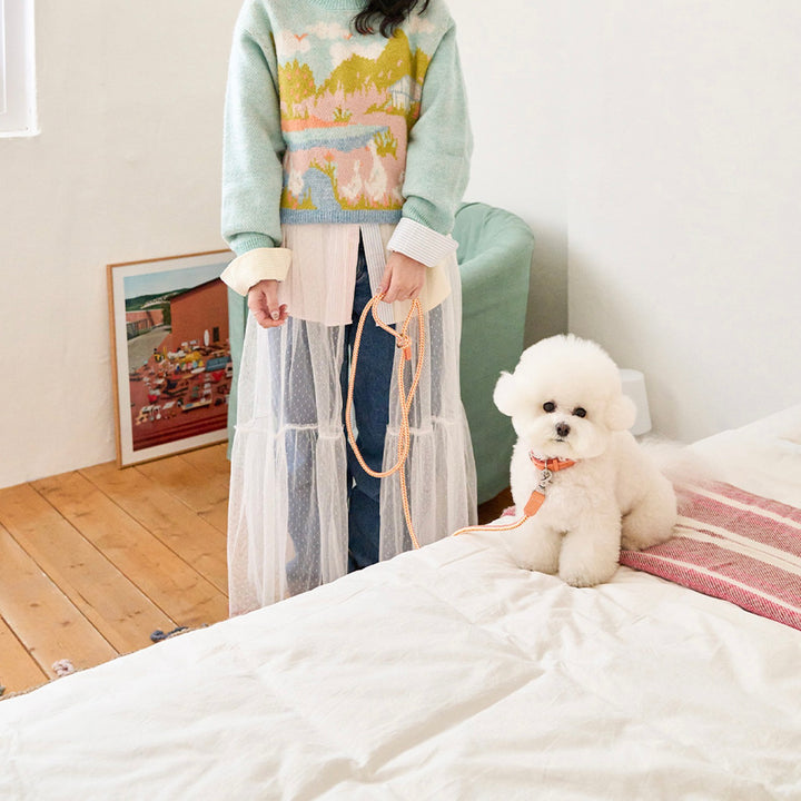 ※予約販売【noutti】Noutti × Stroll Rope Leash（Orage）