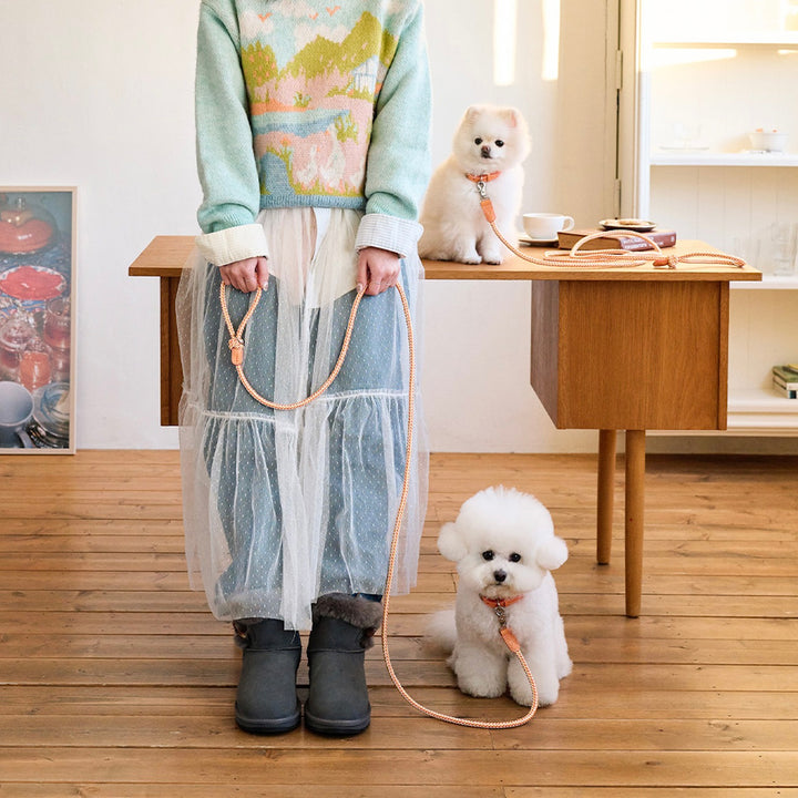 ※予約販売【noutti】Noutti × Stroll Rope Leash（Orage）