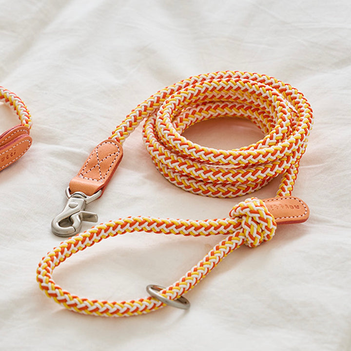 ※予約販売【noutti】Noutti × Stroll Rope Leash（Orage）
