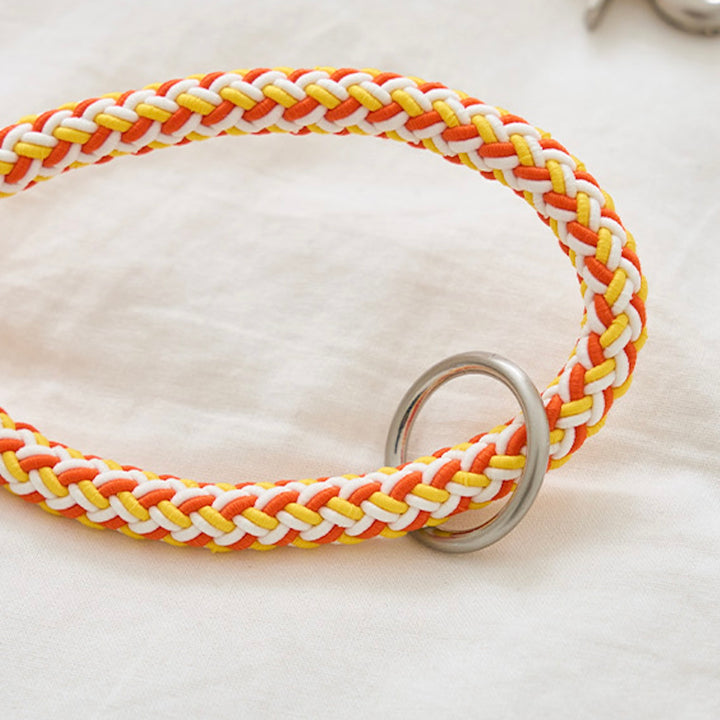 ※予約販売【noutti】Noutti × Stroll Rope Leash（Orage）