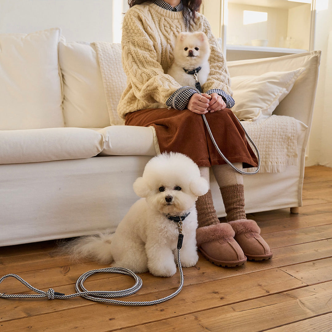 ※予約販売【noutti】Noutti × Stroll Rope Leash（Navy）
