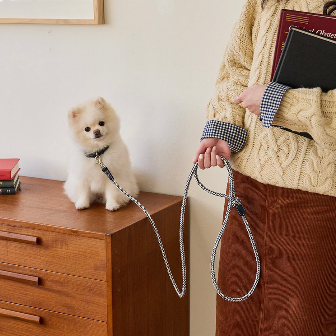 ※予約販売【noutti】Noutti × Stroll Rope Leash（Navy）