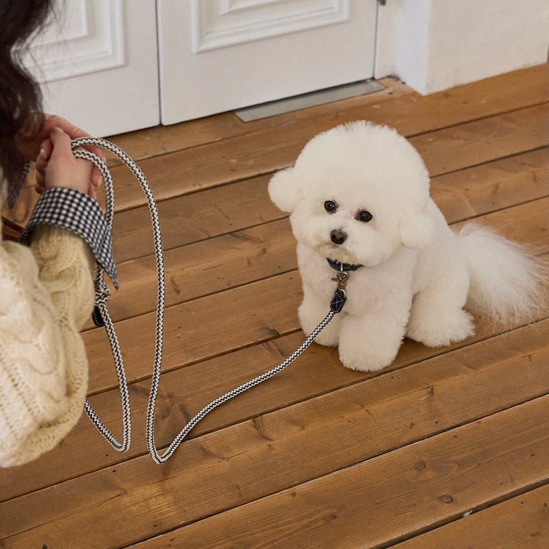 ※予約販売【noutti】Noutti × Stroll Rope Leash（Navy）
