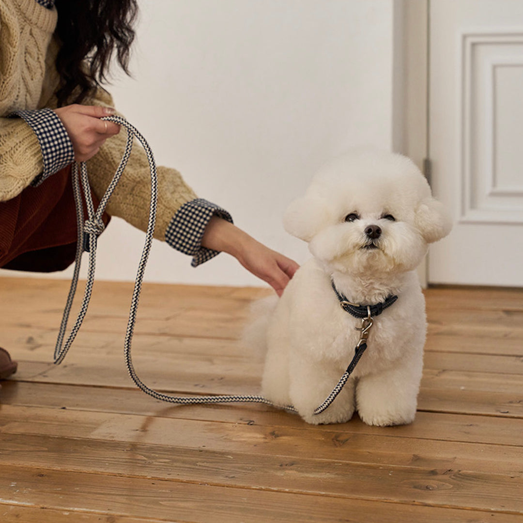 ※予約販売【noutti】Noutti × Stroll Rope Leash（Navy）