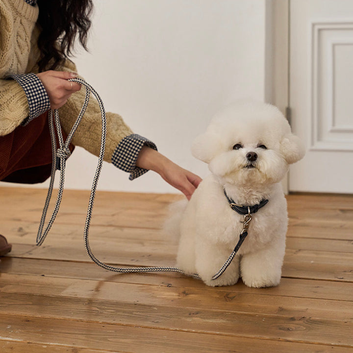 ※予約販売【noutti】Noutti × Stroll Rope Leash（Navy）