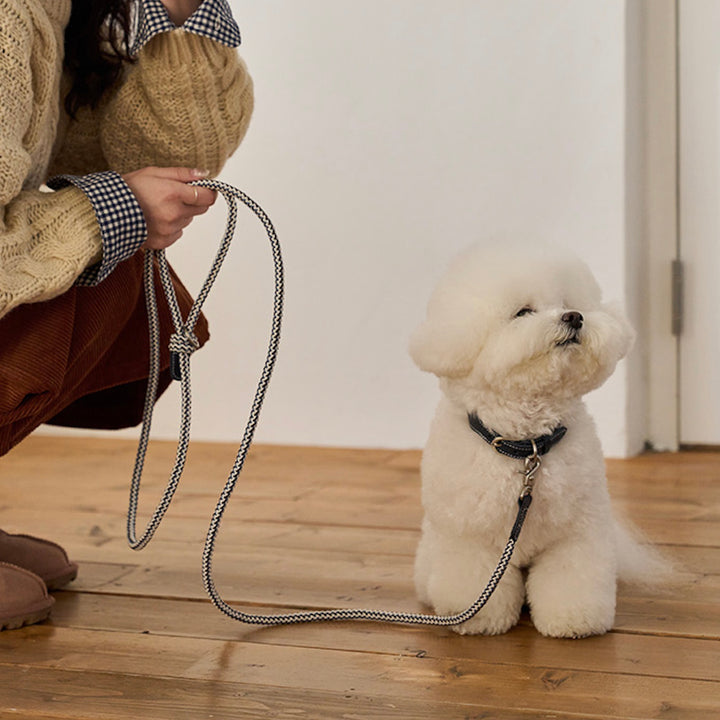 ※予約販売【noutti】Noutti × Stroll Rope Leash（Navy）