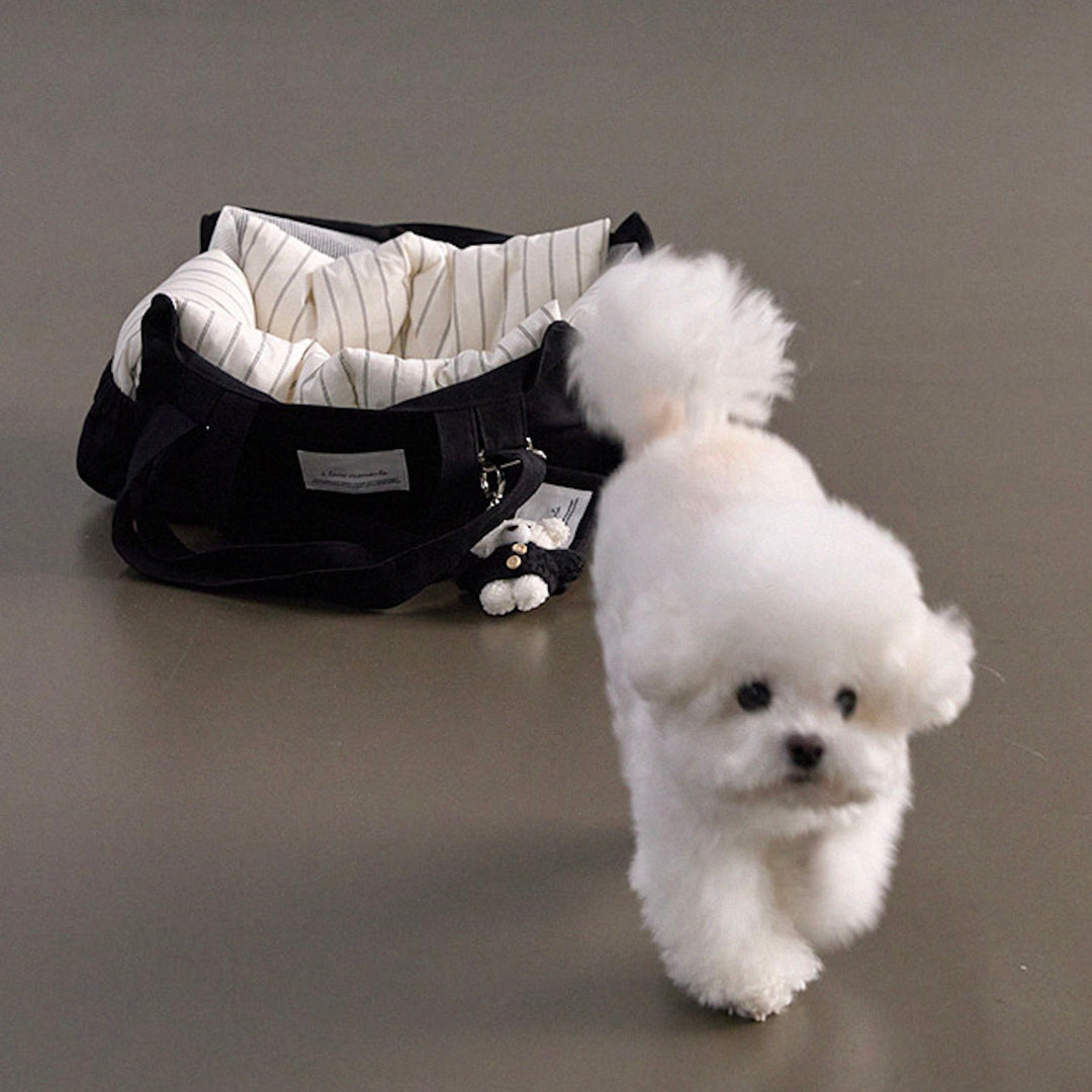 ※予約販売【a tous moments】Partir bag - Black（Cushion + Shoulder Pad Set）