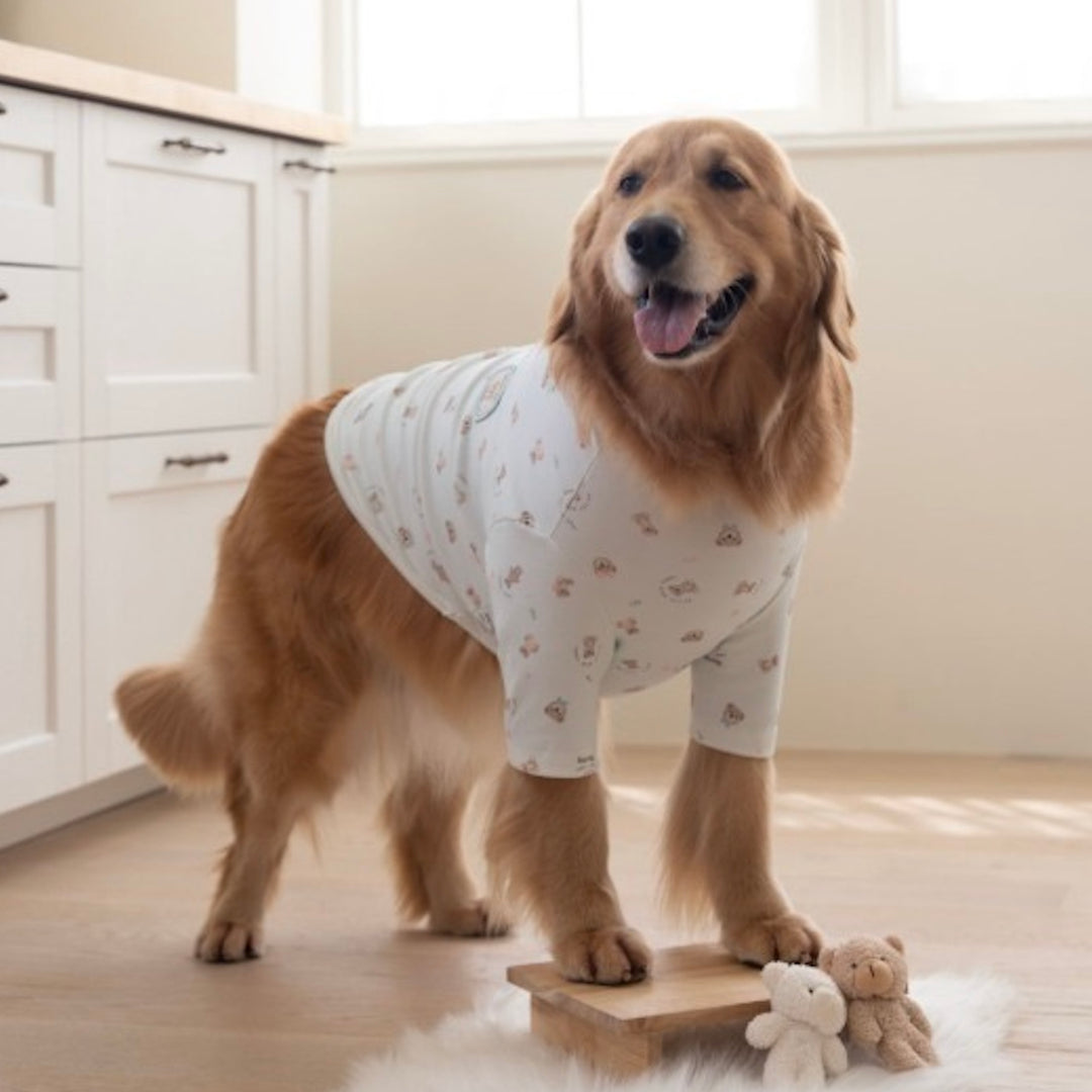 ※予約販売【Bailey】Teddy T-shirt（Teddy Blue）