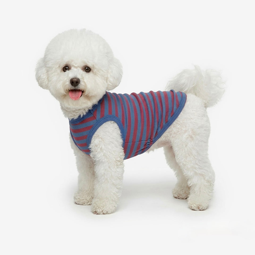 ※予約販売【TUSTUS】Ribbed Stripe Sleeveless（Blue）