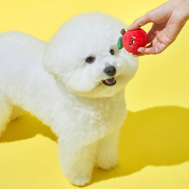 ※予約販売【Bailey】Fruity Festa Toy