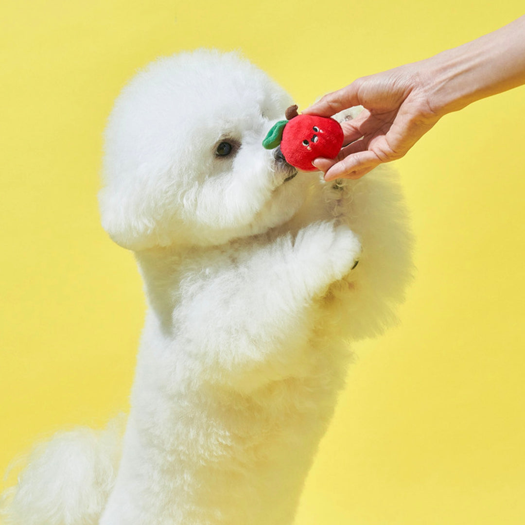 ※予約販売【Bailey】Fruity Festa Toy
