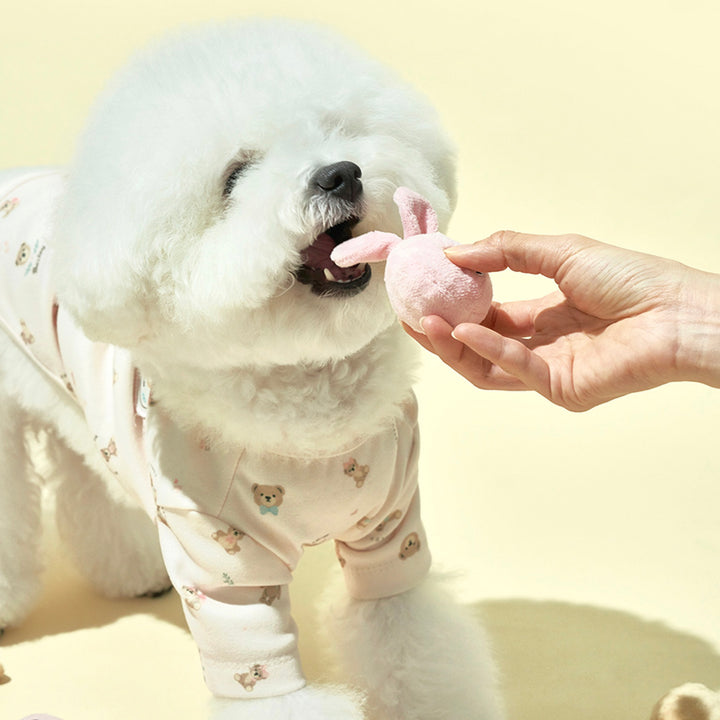 ※予約販売【Bailey】Animal Popstar Toy