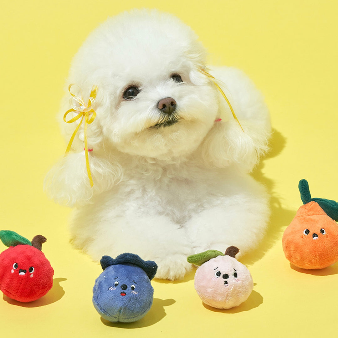 ※予約販売【Bailey】Fruity Festa Toy
