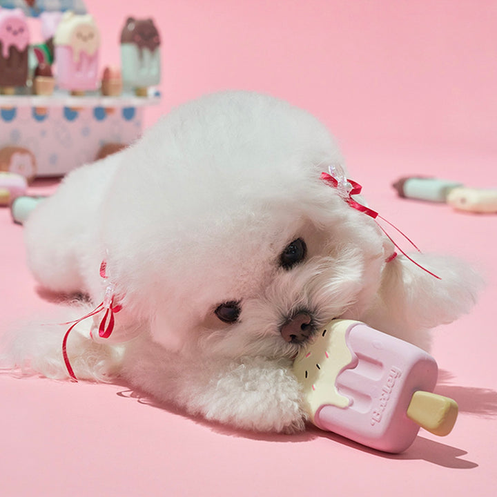※予約販売【Bailey】Ice Cream Pop Latex Toy