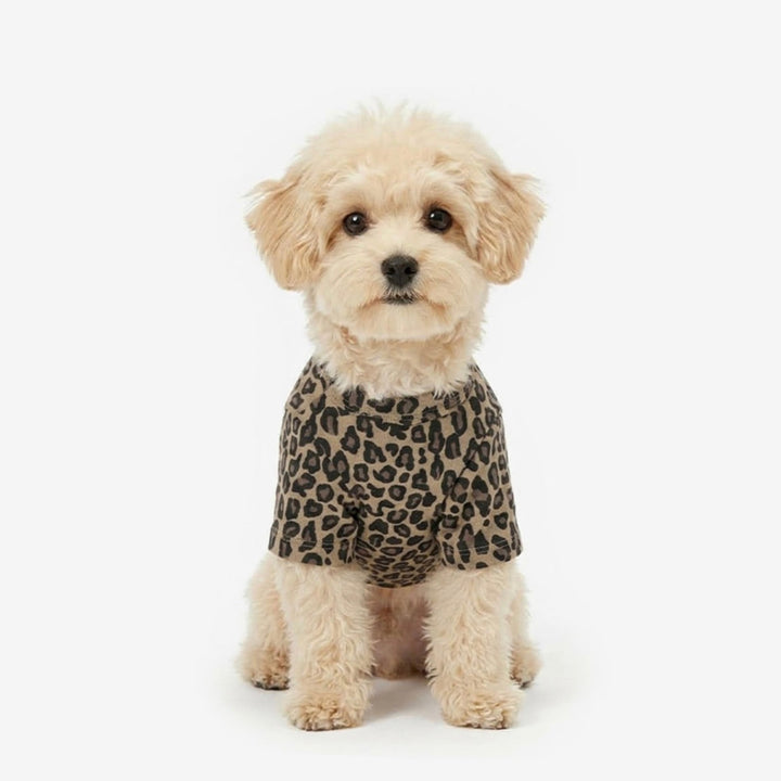 ※予約販売【TUSTUS】Leopard Tee（Brown）