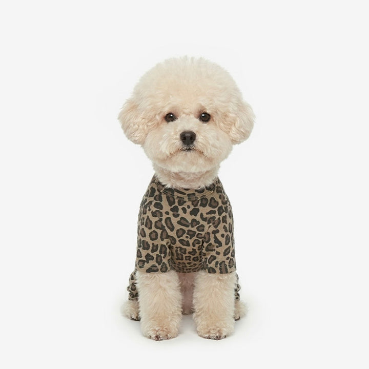 ※予約販売【TUSTUS】Leopard All In One（Brown）