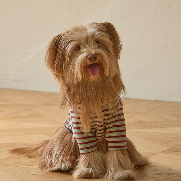 ※予約販売【andblank】A Stitch SoftWarm Stripe Short Sleeve（Green）