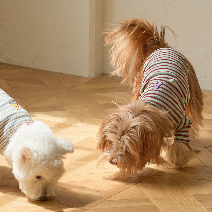 ※予約販売【andblank】A Stitch SoftWarm Stripe Short Sleeve（Green）