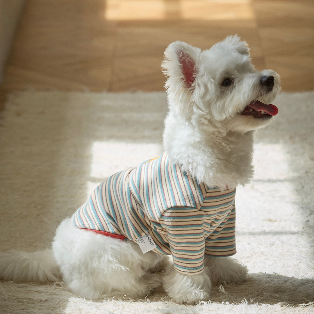 ※予約販売【andblank】A Stitch SoftWarm Stripe Short Sleeve（Ecru）