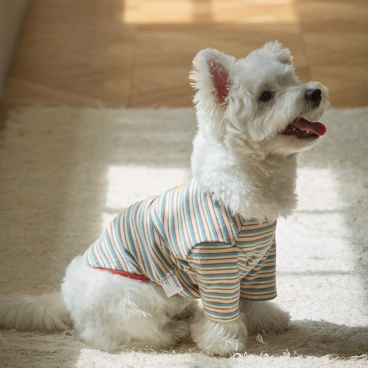 ※予約販売【andblank】A Stitch SoftWarm Stripe Short Sleeve（Ecru）