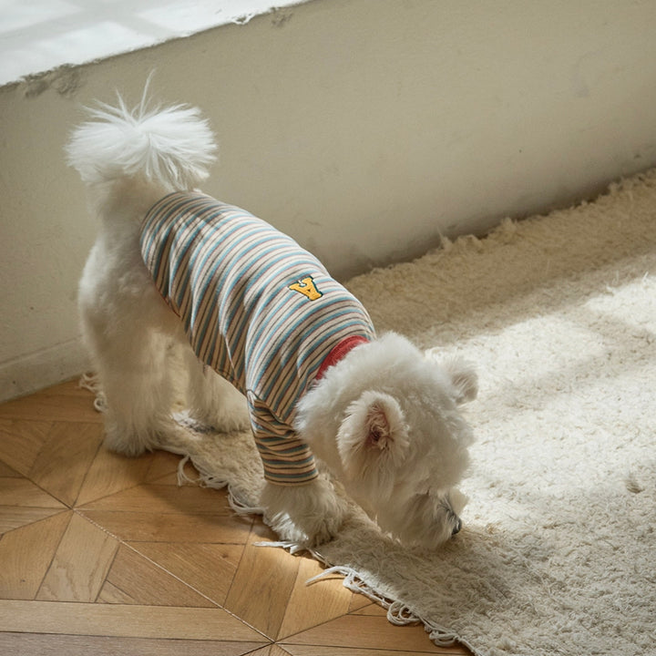 ※予約販売【andblank】A Stitch SoftWarm Stripe Short Sleeve（Ecru）